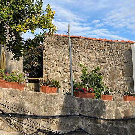 Apartament Casa Dona Olga River View Porto Zewnętrze zdjęcie